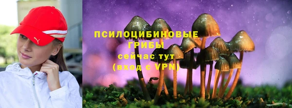 сатива Алексин