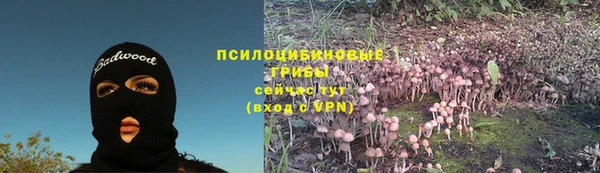 сатива Алексин