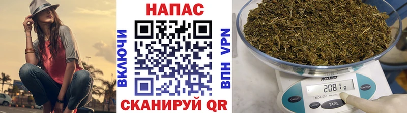 Канабис Amnesia  цены   Венёв 